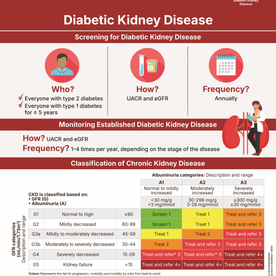 Diabetic Kidney Disease Infographic