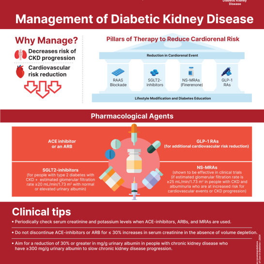 Kidney Management Infographic