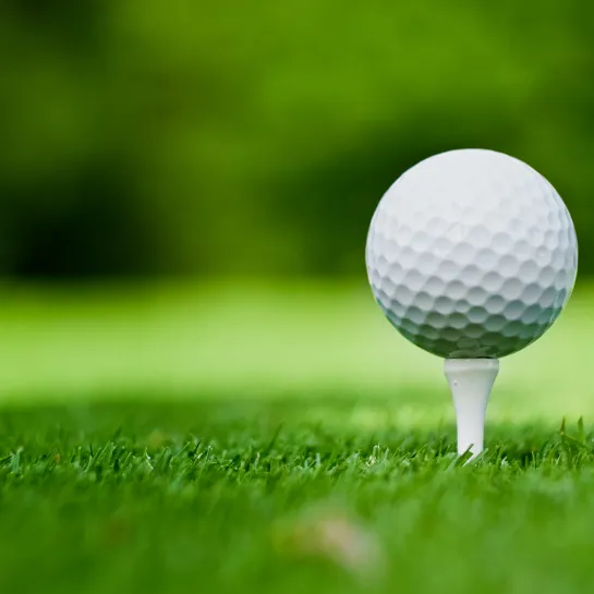 White golf ball on a tee in green grass.