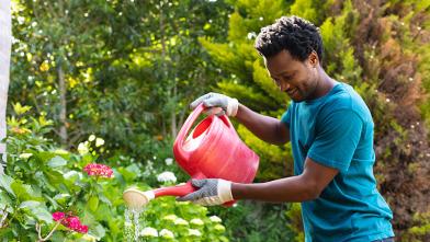 Man gardening