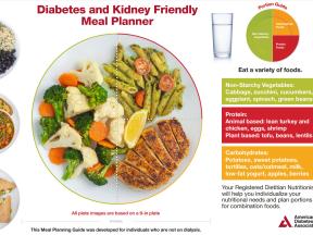 Diabetes and Kidney Friendly Meal Planner