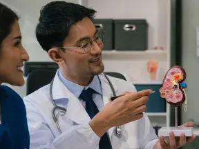 Two researchers in a lab looking at a model of the human kidney
