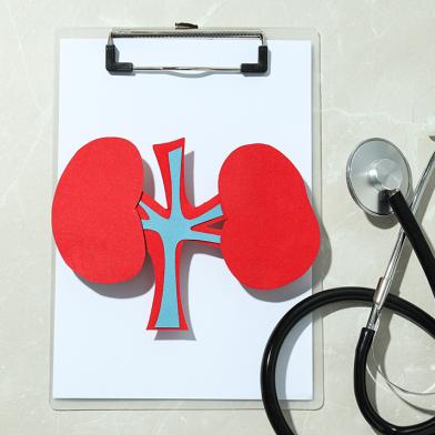Kidney on chart next to stethoscope