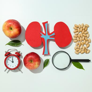 apple, kidney diagram, beans, clock magnifying glass