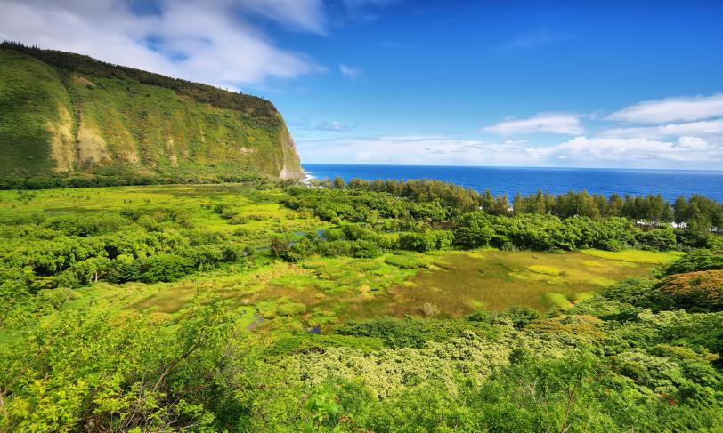 Waipio valley on big island Hawaii