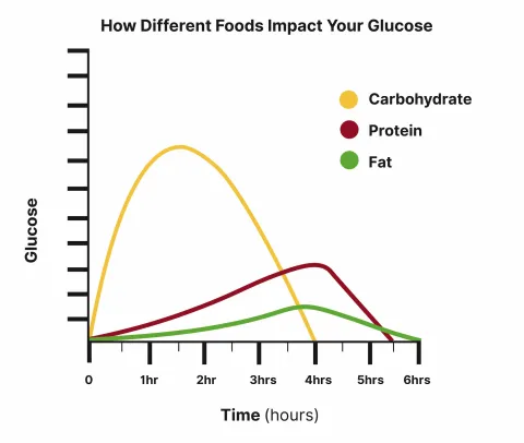 Line graph: Carbohydrate causes rapid, high glucose spike; protein moderate; fat low over time.