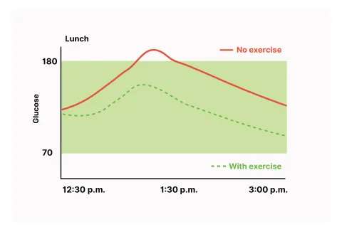 Graphic: Post-lunch glucose. Exercise (dotted line) keeps blood sugar lower, in range.