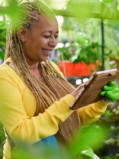 Senior African American woman looking at laptop in greenhouse
